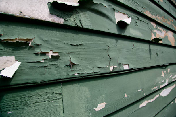 Best Composite Siding  in Kingman, AZ